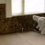 treat damp in Arborfield