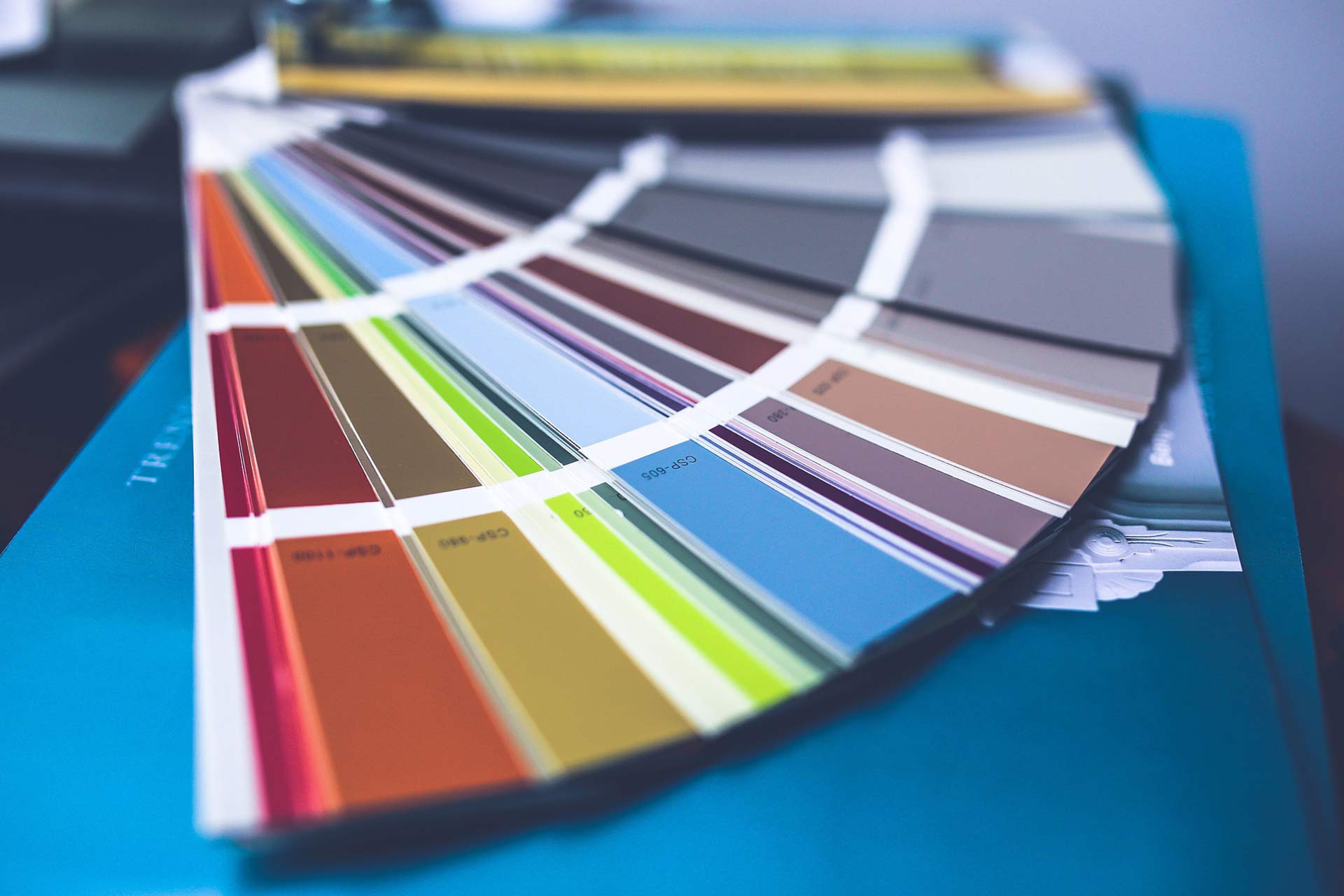 Wall Coatings Local